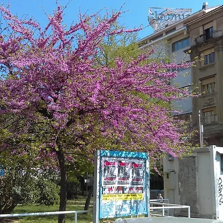 Daire Apartman Skoljic Rijeka
