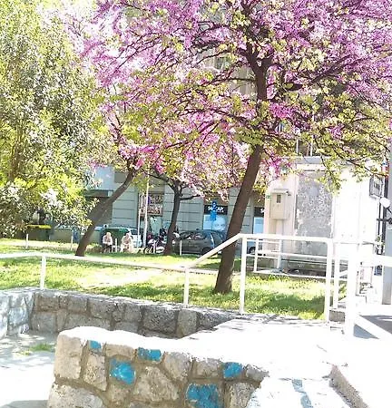Apartman Skoljic